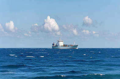 ؼװ亣ˣȫó׵ʿ˽٣